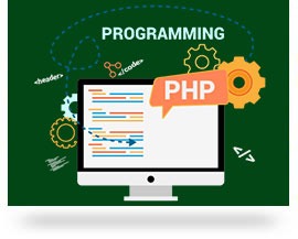 Professional PHP Training in zirakpur