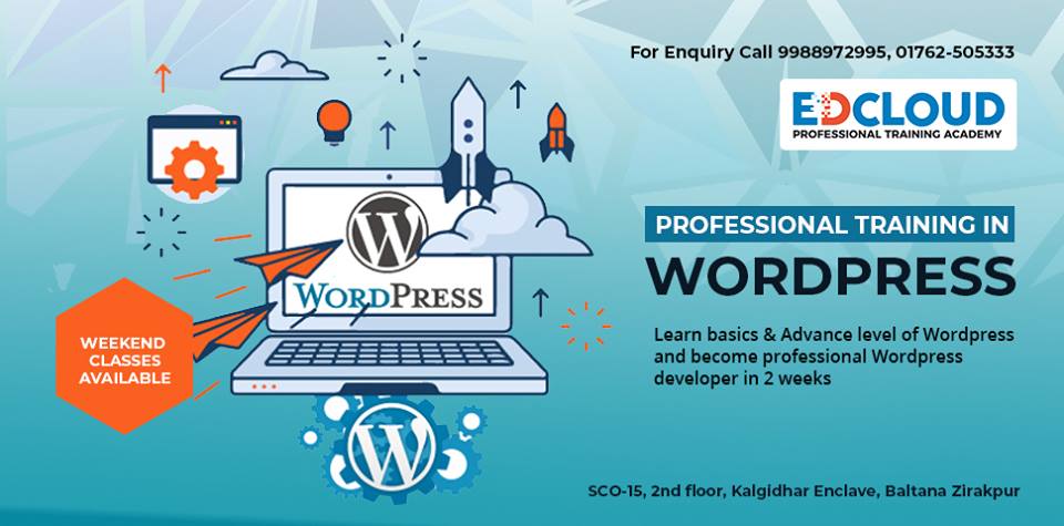 Advanced Wordpress Training in Chandigarh