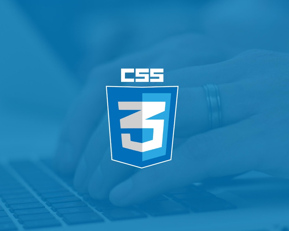 CSS courses in chandigarh